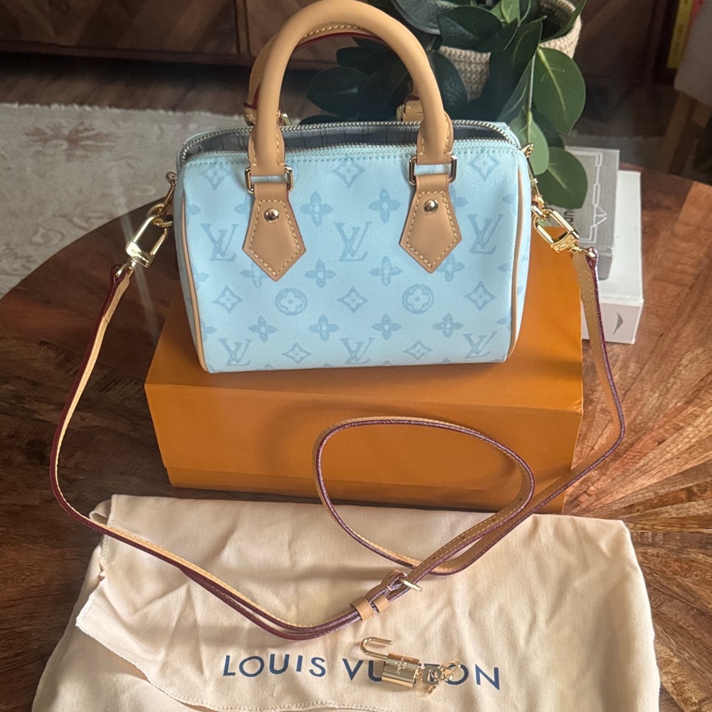 Louis Vuitton speedy mini